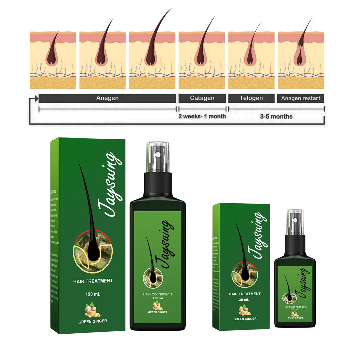 Ginger Hair Growth Oil Dense Regrowth Prevent Baldness Repair Dry Frizzy Damage Hair Roots Nourish Massage Scalp Treatment Serum